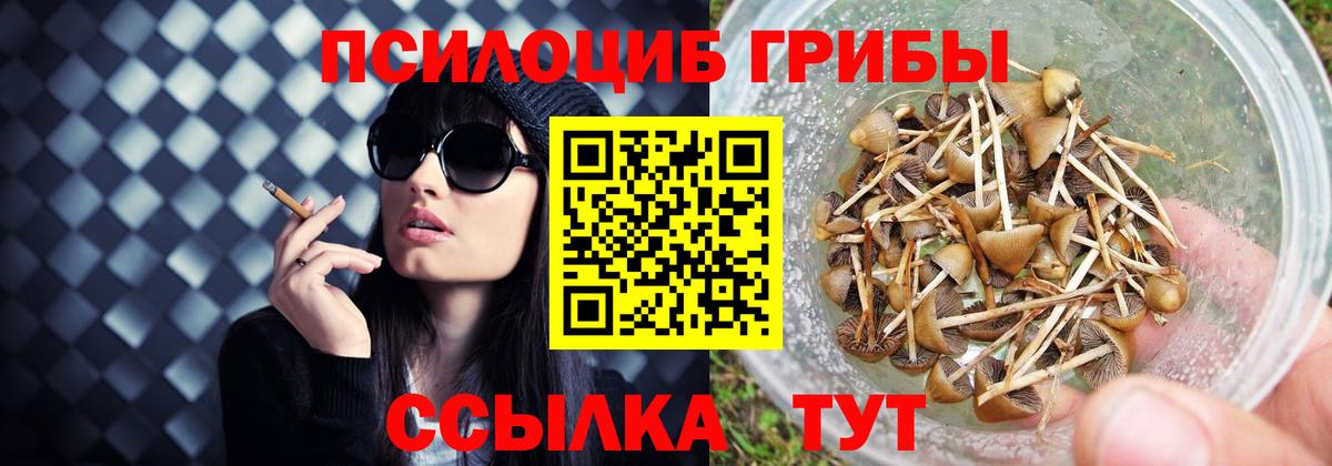 Улан-Удэ  Псилоцибиновые грибы GOLDEN TEACHER  наркошоп  Вход с VPN 
